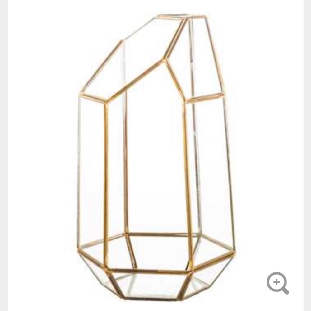 Tall gold and glass terrarium